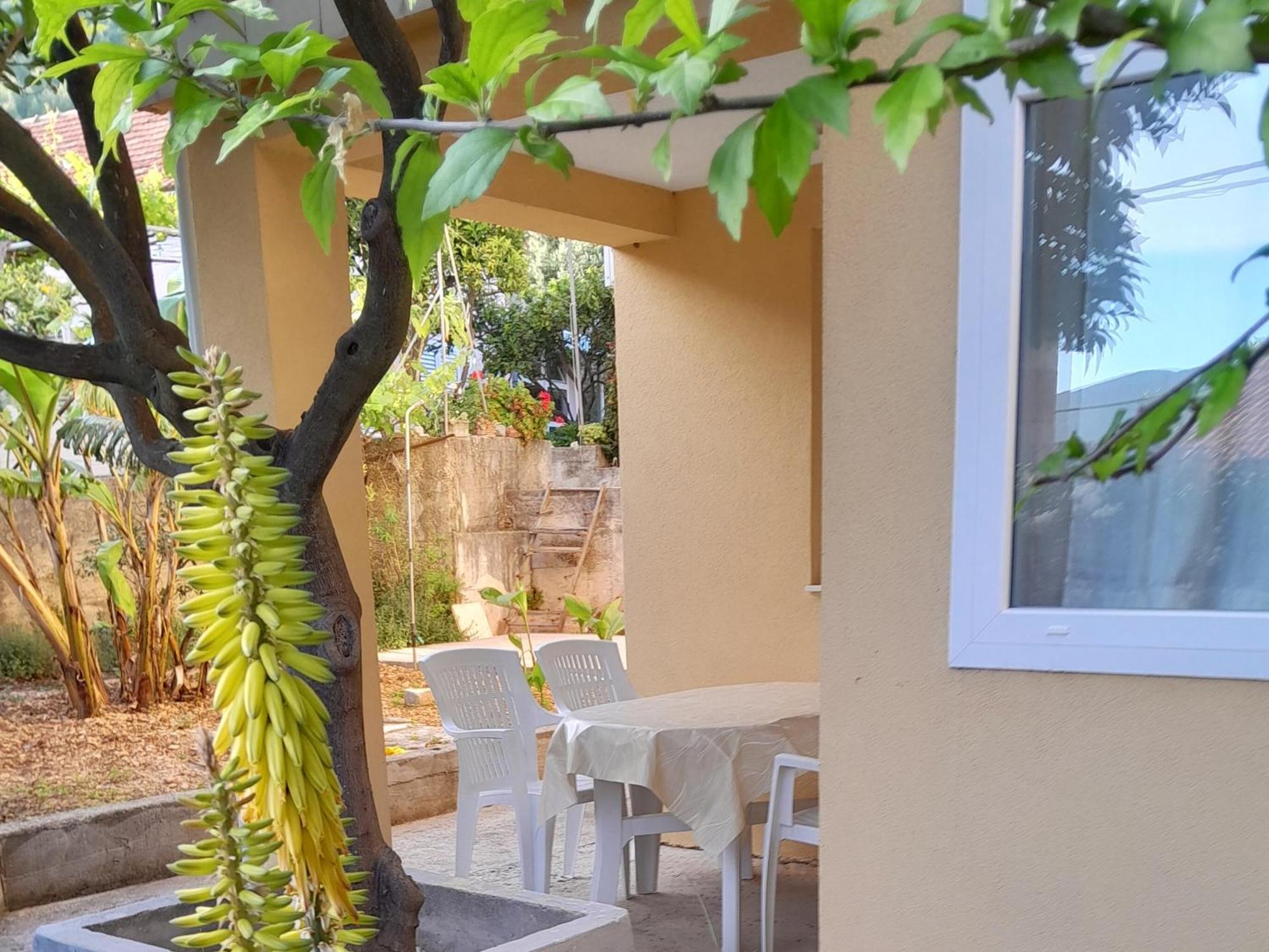 Apartments Viganj Εξωτερικό φωτογραφία